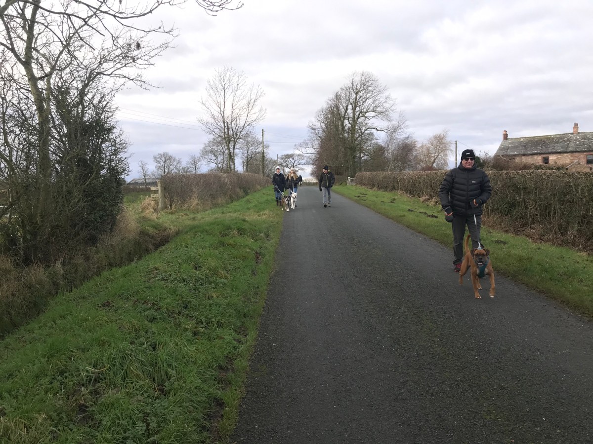 Embracing the Incomplete